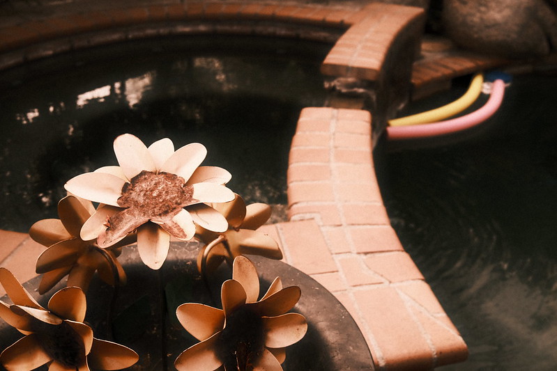 My “Ultimate” Fujifilm Travel Kit FUJI X WEEKLY