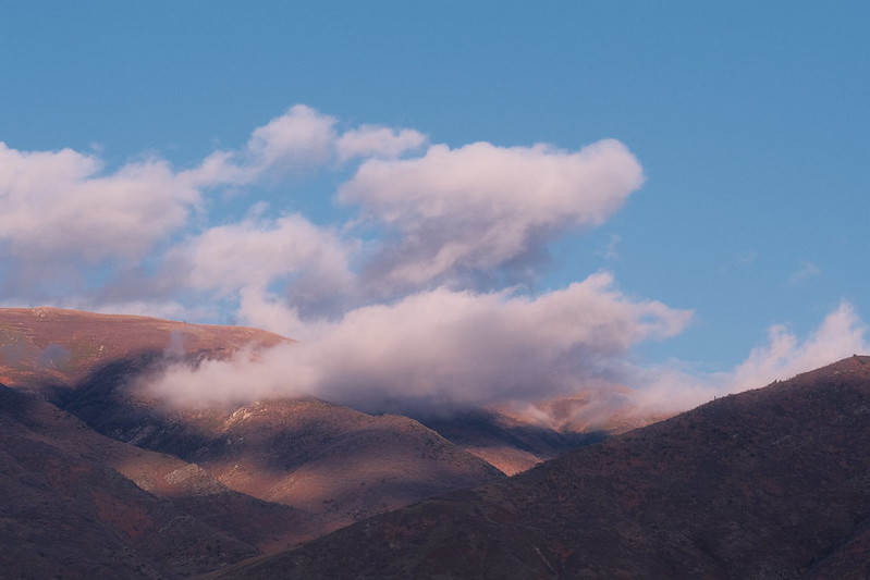 Has a preview image link and yet 404 :/