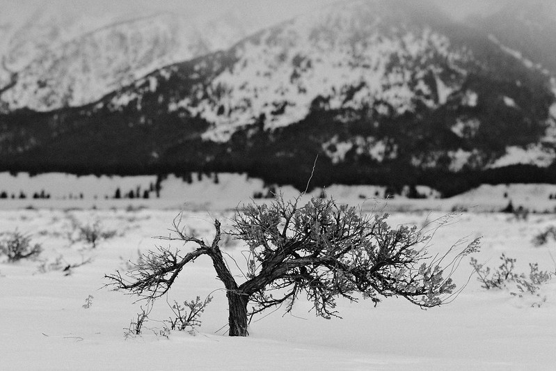 Fujifilm X-E4 + Fujinon 90mm = Great Combo with Challenges | FUJI