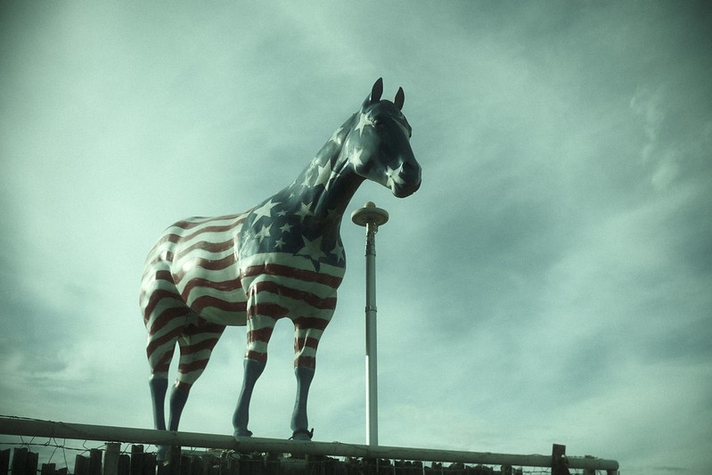 Expired ECN-2 100T (X-Trans V)