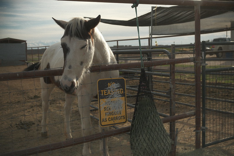 Vintage Eterna (X-Trans V)