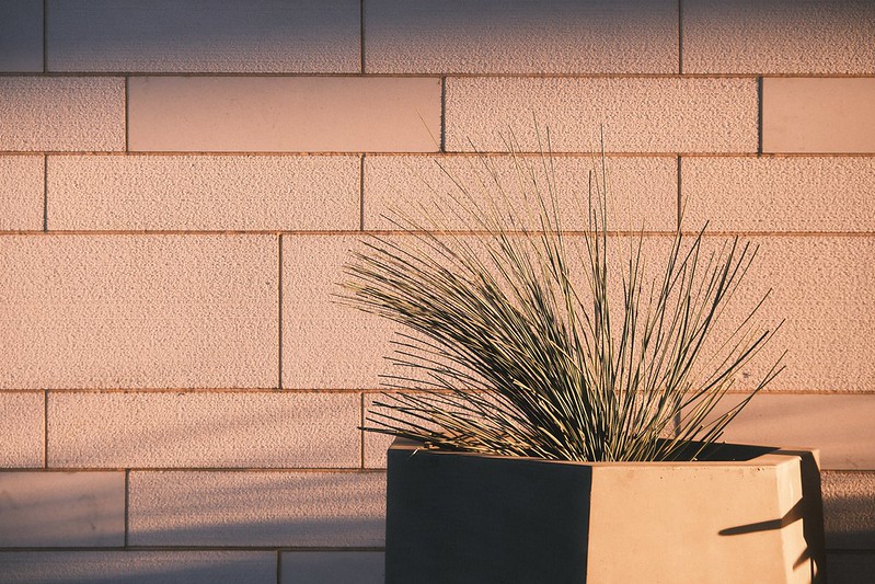 Kodak Royal Gold 400