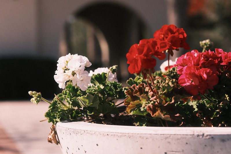 Kodak Royal Gold 400